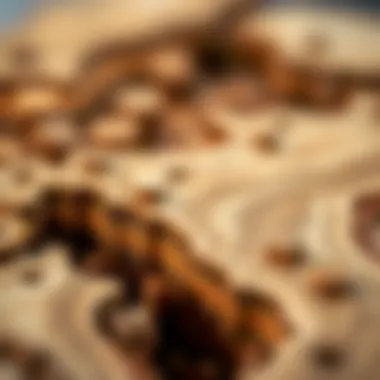 Balsa wood showcasing its lightweight characteristics