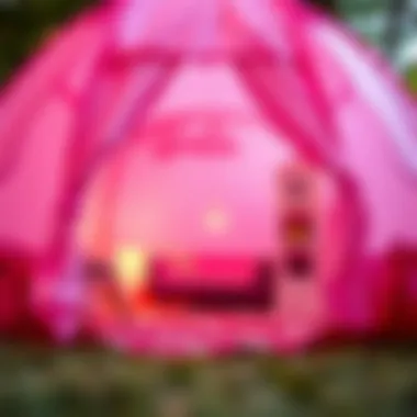 Detailed view of a Barbie tent's interior after setup