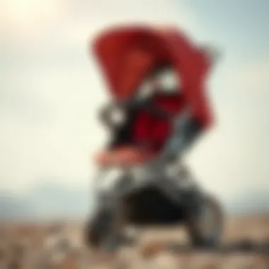 Benefits of investing in a premium stroller for child development