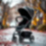 Luxurious baby stroller with premium materials