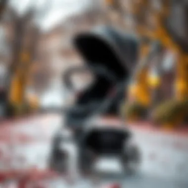 Luxurious baby stroller with premium materials