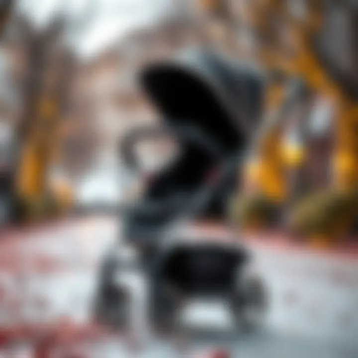 Luxurious baby stroller with premium materials