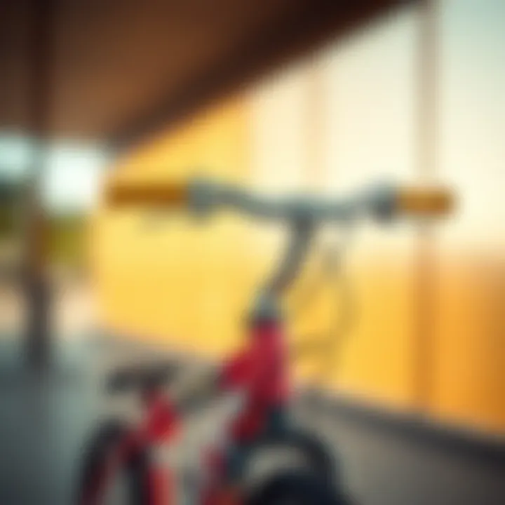 Close-up of safety features on a twin baby bicycle