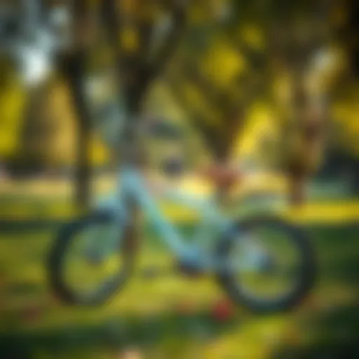 Twin baby bicycle parked in a sunny park