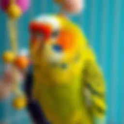 Colorful toys for budgerigar birds
