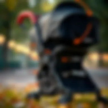 Safety features in a stroller, highlighting harness and brake systems