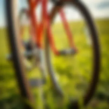 Exploring Nature: Bicycle Wheels on Grass A close-up of bicycle wheels on a grassy field